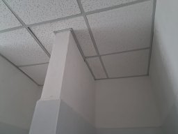 whatsapp image 2026-05-30 at 13.08.11 3